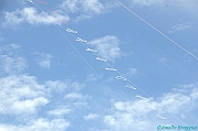 RIMINI 2012 - 200